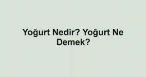 Yoğurt Nedir? Yoğurt Ne Demek?