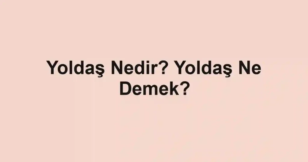 Yoldaş Nedir? Yoldaş Ne Demek?