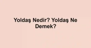 Yoldaş Nedir? Yoldaş Ne Demek?
