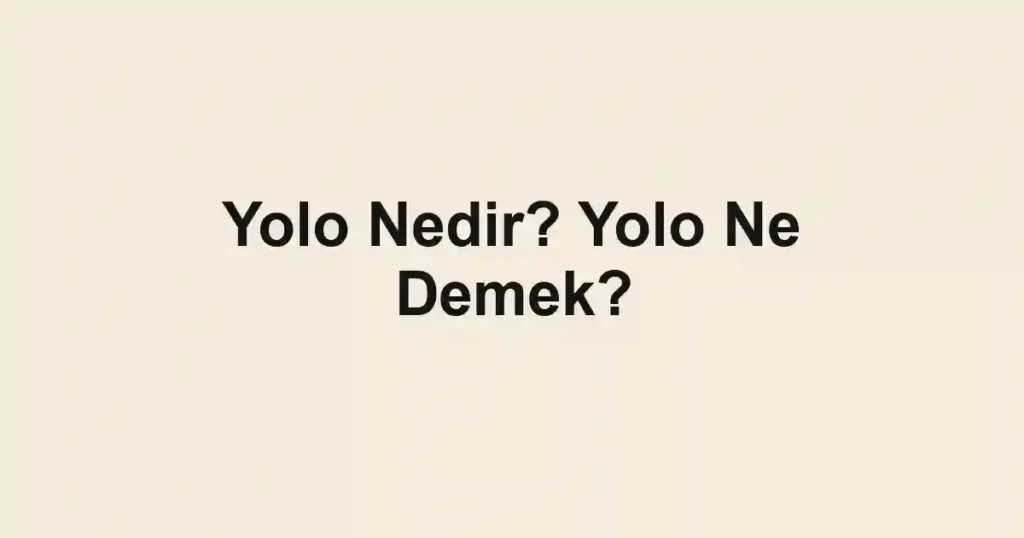 Yolo Nedir? Yolo Ne Demek?