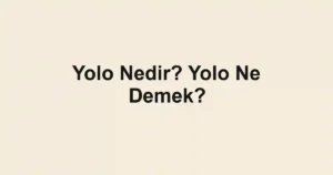 Yolo Nedir? Yolo Ne Demek?