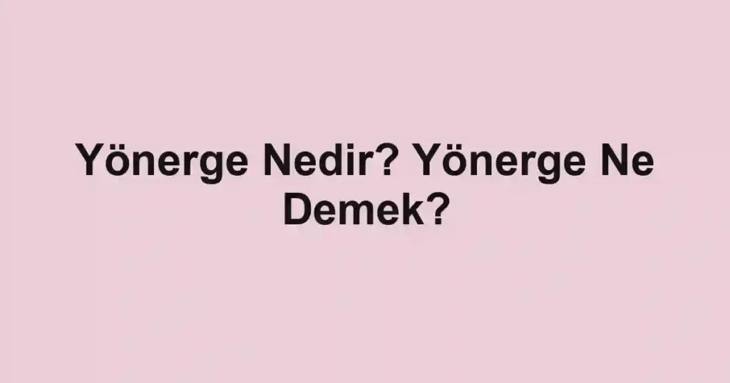 Yönerge Nedir? Yönerge Ne Demek?