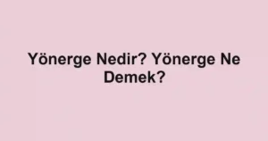 Yönerge Nedir? Yönerge Ne Demek?