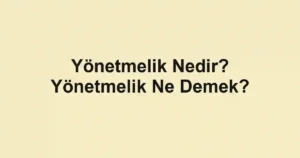 Yönetmelik Nedir? Yönetmelik Ne Demek?