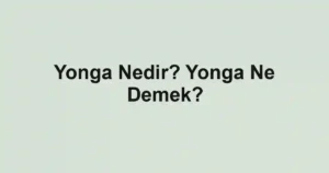 Yonga Nedir? Yonga Ne Demek?