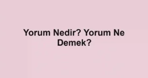 Yorum Nedir? Yorum Ne Demek?