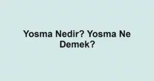 Yosma Nedir? Yosma Ne Demek?