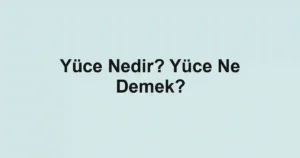 Yüce Nedir? Yüce Ne Demek?