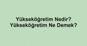 Yükseköğretim Nedir? Yükseköğretim Ne Demek?