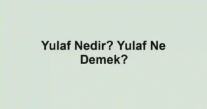 Yulaf Nedir? Yulaf Ne Demek?