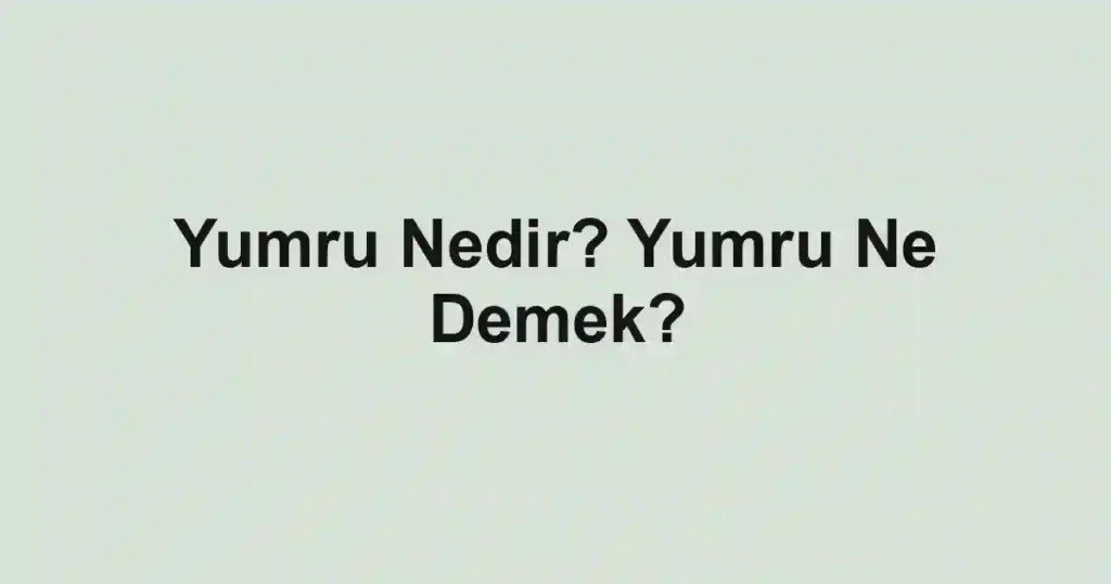 Yumru Nedir? Yumru Ne Demek?