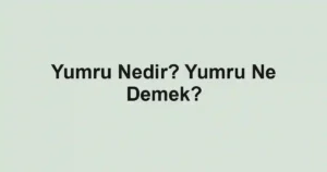 Yumru Nedir? Yumru Ne Demek?