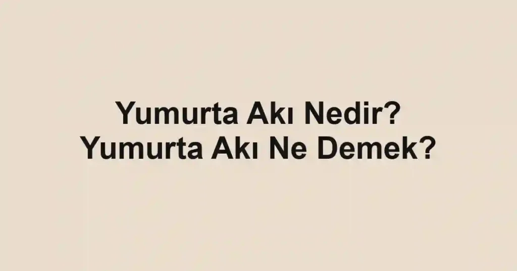 Yumurta Akı Nedir? Yumurta Akı Ne Demek?