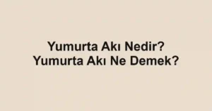 Yumurta Akı Nedir? Yumurta Akı Ne Demek?