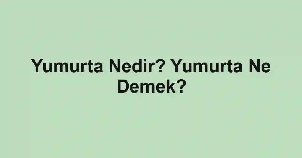 Yumurta Nedir? Yumurta Ne Demek?
