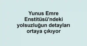 Yunus Emre Enstitüsü'ndeki yolsuzluğun detayları ortaya çıkıyor