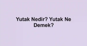 Yutak Nedir? Yutak Ne Demek?