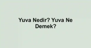 Yuva Nedir? Yuva Ne Demek?