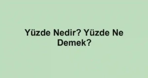 Yüzde Nedir? Yüzde Ne Demek?