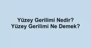 Yüzey Gerilimi Nedir? Yüzey Gerilimi Ne Demek?