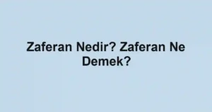 Zaferan Nedir? Zaferan Ne Demek?
