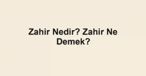 Zahir Nedir? Zahir Ne Demek?