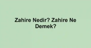 Zahire Nedir? Zahire Ne Demek?