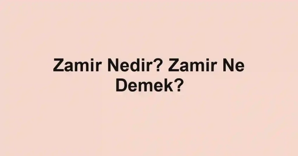 Zamir Nedir? Zamir Ne Demek?