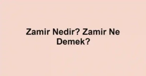 Zamir Nedir? Zamir Ne Demek?