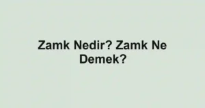 Zamk Nedir? Zamk Ne Demek?
