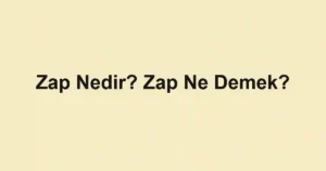Zap Nedir? Zap Ne Demek?