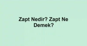 Zapt Nedir? Zapt Ne Demek?
