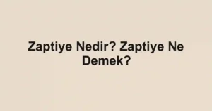 Zaptiye Nedir? Zaptiye Ne Demek?