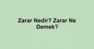 Zarar Nedir? Zarar Ne Demek?