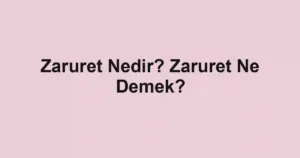 Zaruret Nedir? Zaruret Ne Demek?