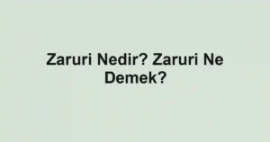 Zaruri Nedir? Zaruri Ne Demek?