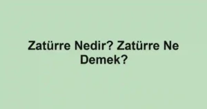 Zatürre Nedir? Zatürre Ne Demek?