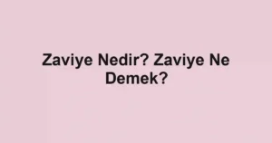 Zaviye Nedir? Zaviye Ne Demek?