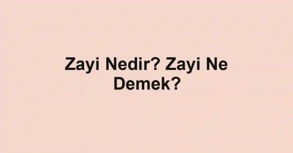 Zayi Nedir? Zayi Ne Demek?