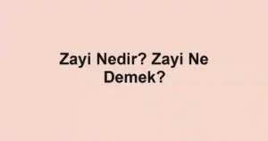 Zayi Nedir? Zayi Ne Demek?