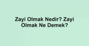 Zayi Olmak Nedir? Zayi Olmak Ne Demek?