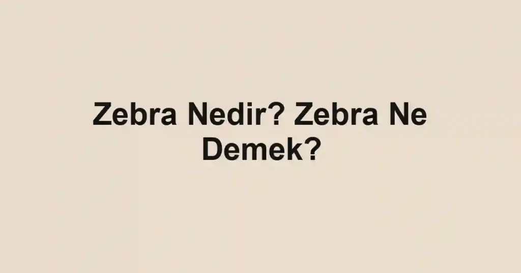 Zebra Nedir? Zebra Ne Demek?