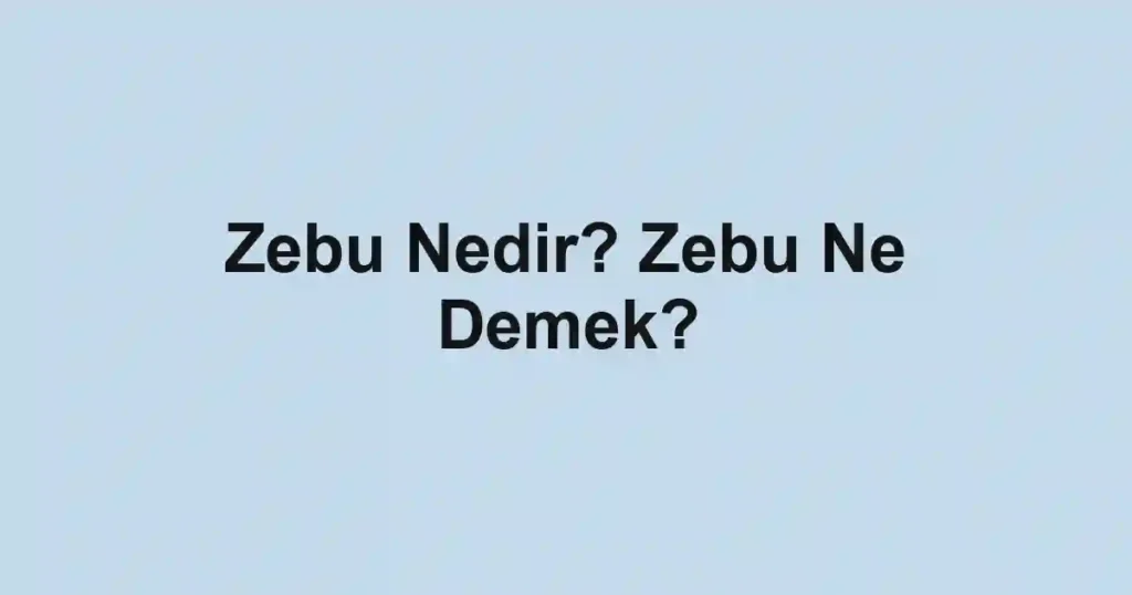 Zebu Nedir? Zebu Ne Demek?