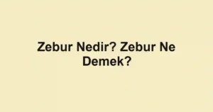 Zebur Nedir? Zebur Ne Demek?