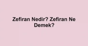 Zefiran Nedir? Zefiran Ne Demek?