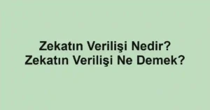 Zekatın Verilişi Nedir? Zekatın Verilişi Ne Demek?