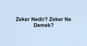 Zeker Nedir? Zeker Ne Demek?
