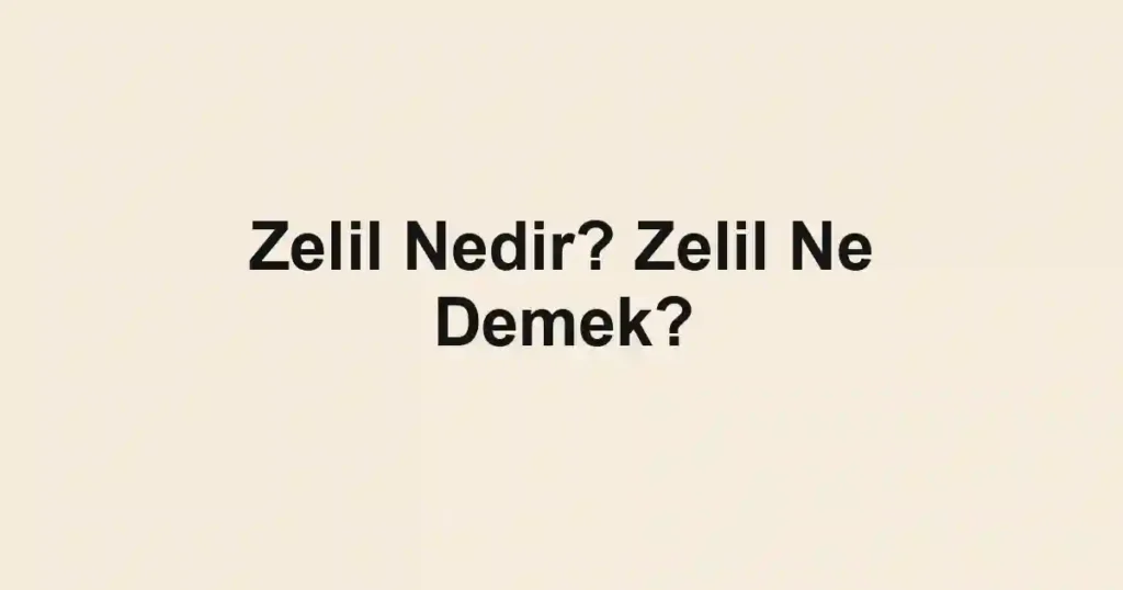 Zelil Nedir? Zelil Ne Demek?