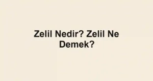 Zelil Nedir? Zelil Ne Demek?