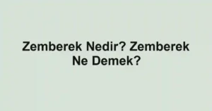 Zemberek Nedir? Zemberek Ne Demek?
